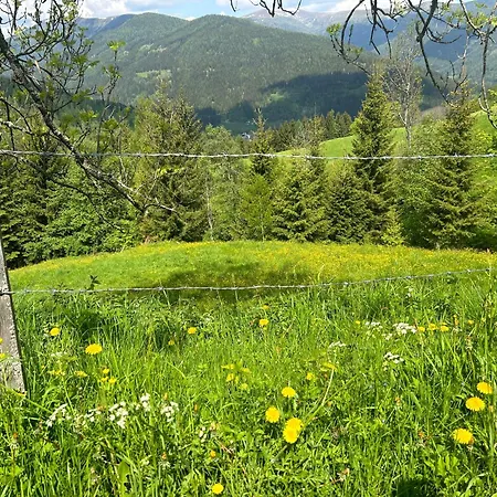 Preisoexlhuette Apartment Sankt Veit an der Glan